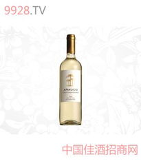 啤酒批发与供应 一站式采购指南